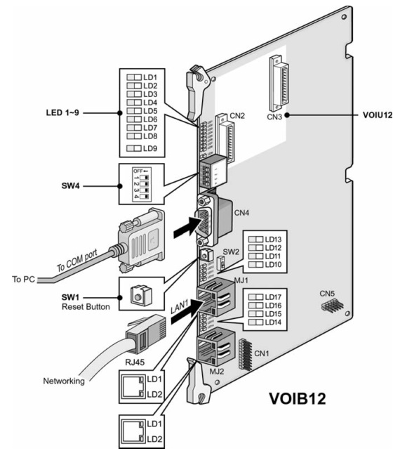 d300-voib12.jpg