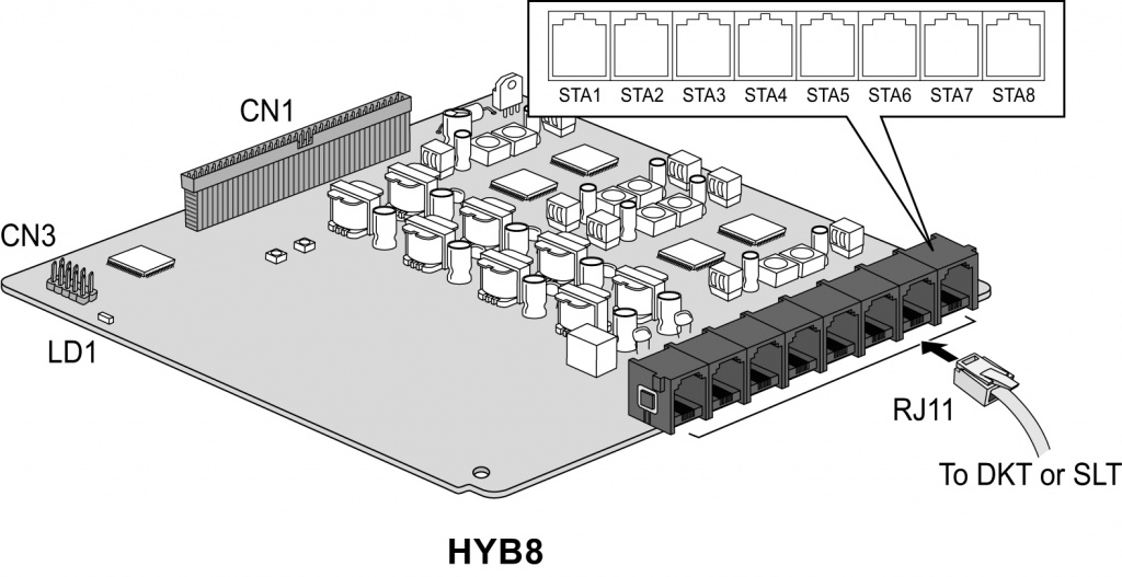 HYB8.jpg