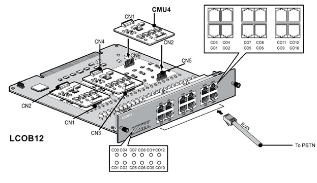 MG-LCOB12.jpg